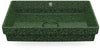 Moss Gloss