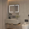 Mirror Luxe 36" Double Door Mirrored LED Medicine Cabinet, Natural Anodized Aluminum