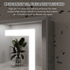 Mirror Luxe 48" Tacoma Full-Featured 3-Door LED Medicine Cabinet