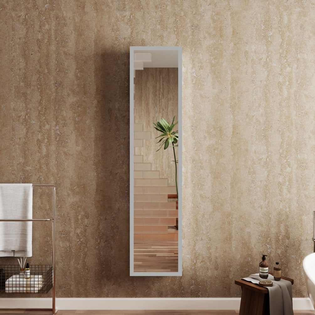 16-1/8" Wide Cabinet/Wardrobe Mirror, lights off.