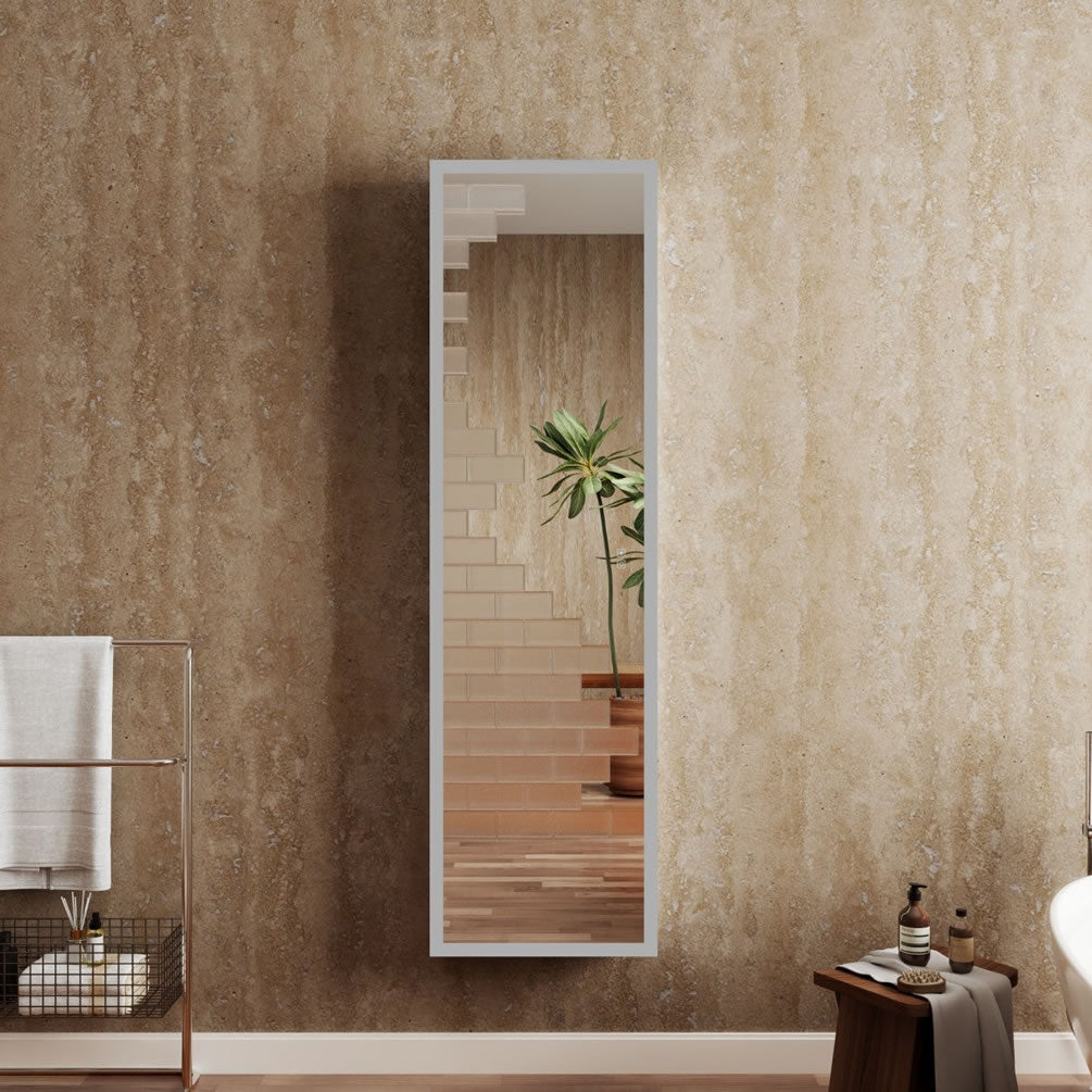 20-1/8" Wide Cabinet/Wardrobe Mirror - lights off.